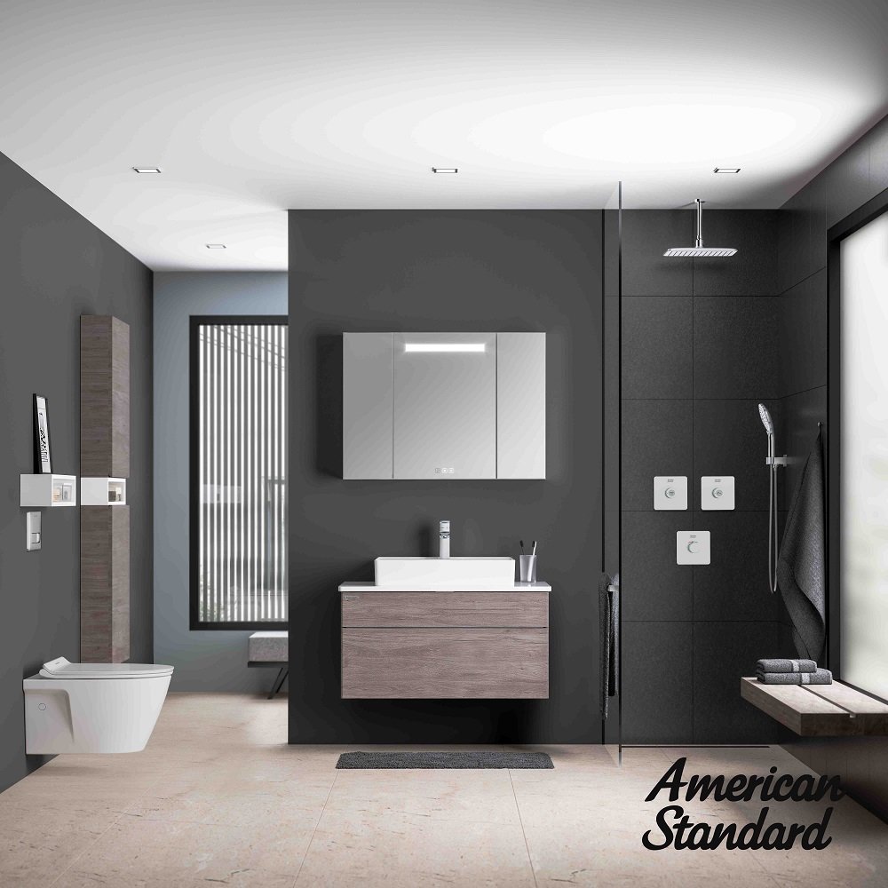 Introducing the HygieneClean System from American Standard