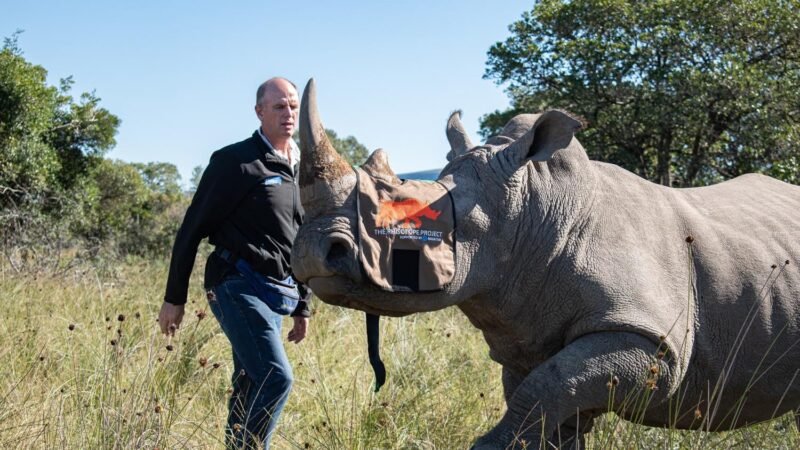 Nuclear Science Utilized to Protect the African Rhino