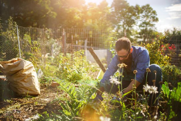 Dig In for Change: The Environmental Benefits of Gardening